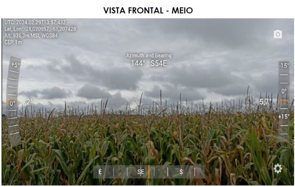 TERRAS DE CAMPO E MATOS DE CRIAR, NO 1º DISTRITO DE ESMERALDA-RS, localizado em Esmeralda - RS