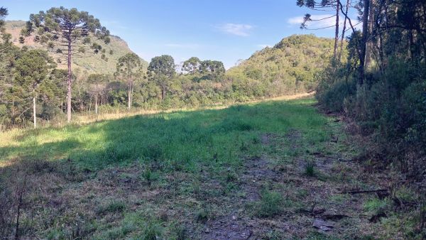 FRAÇÃO DE TERRAS DE CULTURA (85.000,00M²) E 13,3332% DA CASA DE MADEIRA, EM CAMPESTRE DA SERRA/RS, localizado em Campestre Da Serra - RS