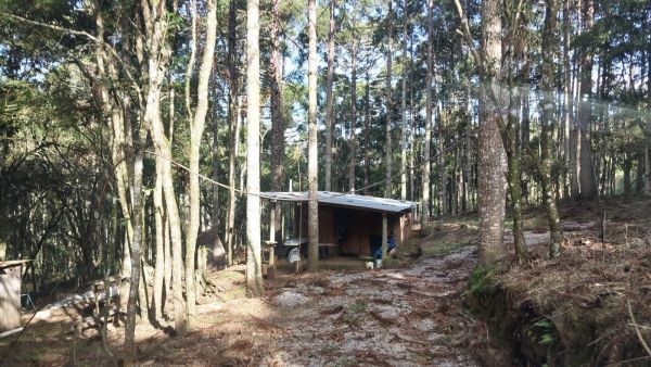 FRAÇÃO DE TERRAS DE CULTURA (85.000,00M²) E 13,3332% DA CASA DE MADEIRA, EM CAMPESTRE DA SERRA/RS, localizado em Campestre Da Serra - RS