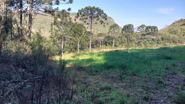 FRAÇÃO DE TERRAS DE CULTURA (85.000,00M²) E 13,3332% DA CASA DE MADEIRA, EM CAMPESTRE DA SERRA/RS, localizado em Campestre Da Serra - RS