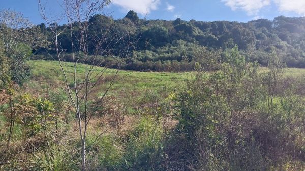FRAÇÃO DE TERRAS DE CULTURA (85.000,00M²) E 13,3332% DA CASA DE MADEIRA, EM CAMPESTRE DA SERRA/RS, localizado em Campestre Da Serra - RS