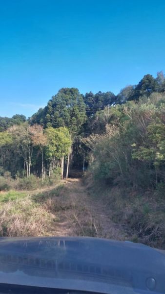 FRAÇÃO DE TERRAS DE CULTURA (85.000,00M²) E 13,3332% DA CASA DE MADEIRA, EM CAMPESTRE DA SERRA/RS, localizado em Campestre Da Serra - RS
