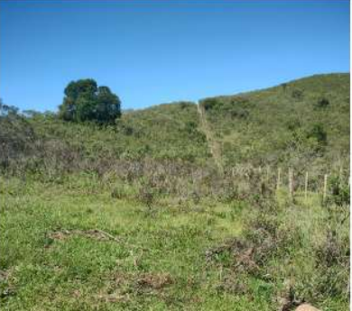 LEILÃO DE FRAÇÃO DE TERRAS DE CAMPOS E MATOS, COM ÁREA DE 40,92 HA, SOBRE A QUAL HÁ TRÊS BENFEITORIAS NÃO AVERBADAS, NA LINHA RINCÃO DO PINTADO, VACARIA/RS, localizado em Vacaria - RS