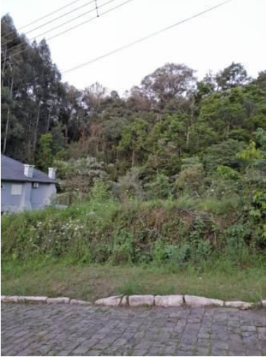 LEILÃO DE UM TERRENO URBANO COM 492M² DE ÁREA, COM BENFEITORIA NÃO AVERBADA NA MATRÍCULA, SITO À AVENIDA VALADO, VILA JOÃO PESSOA, NA CIDADE DE PORTO ALEGRE/RS, localizado em Porto Alegre - RS