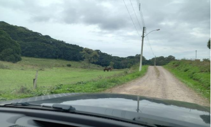 LEILÃO DE UM TERRENO URBANO, COM ÁREA DE 34.400M², SITO NA VILA ANA RECH, MUNICÍPIO DE CAIXAS DO SUL/RS, localizado em Caxias Do Sul - RS