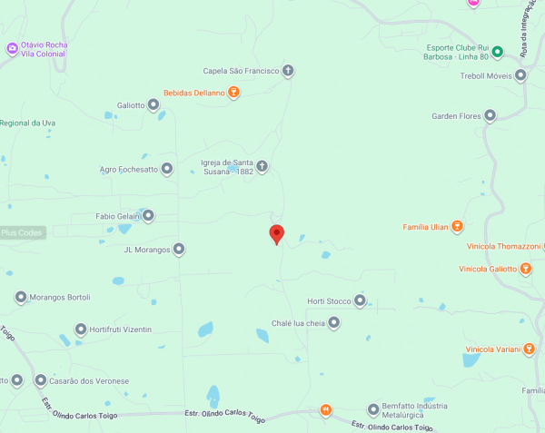 LOTE 03: FRAÇÃO IDEAL DE 42.350M² DE ÁREA RURAL, DENTRO DE UM TODO MAIOR COM 145.200M², NO TRAVESSÃO ESPERANÇA EM FLORES DA CUNHA/RS, localizado em Flores Da Cunha - RS