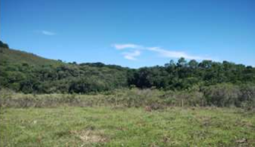 LEILÃO DE FRAÇÃO DE TERRAS DE CAMPOS E MATOS, COM ÁREA DE 40,92 HA, SOBRE A QUAL HÁ TRÊS BENFEITORIAS NÃO AVERBADAS, NA LINHA RINCÃO DO PINTADO, VACARIA/RS, localizado em Vacaria - RS