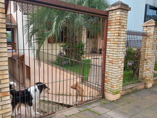 Imagem 6