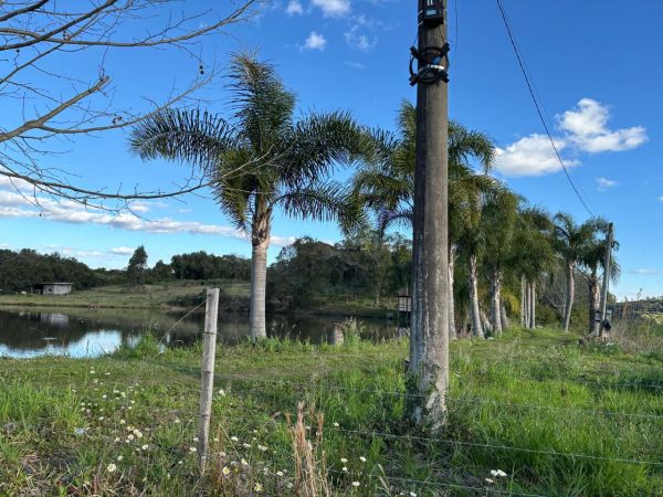 LEILÃO DIREITOS E AÇÕES SOBRE UM TERRENO RURAL, COM ÁREA DE 53.384,00m², SITO NO LUGAR DENOMINADO TRAVESSÃO 13 DE MAIO, NA CIDADE DE FLORES DA CUNHA/RS, localizado em Flores Da Cunha - RS