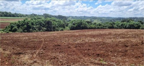 Imóvel Rural em Leilão em Vacaria / RS - 194065