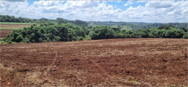 FRAÇÃO IDEAL DE 155.000 M² DE ÁREA RURAL COM 295.000 M², NO LUGAR REFUGIADO, 5º DISTRITO DE VACARIA/RS, COM BENFEITORIAS NÃO AVERBADAS., localizado em Vacaria - RS