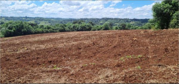 FRAÇÃO IDEAL DE 155.000 M² DE ÁREA RURAL COM 295.000 M², NO LUGAR REFUGIADO, 5º DISTRITO DE VACARIA/RS, COM BENFEITORIAS NÃO AVERBADAS., localizado em Vacaria - RS