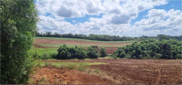 FRAÇÃO IDEAL DE 155.000 M² DE ÁREA RURAL COM 295.000 M², NO LUGAR REFUGIADO, 5º DISTRITO DE VACARIA/RS, COM BENFEITORIAS NÃO AVERBADAS., localizado em Vacaria - RS