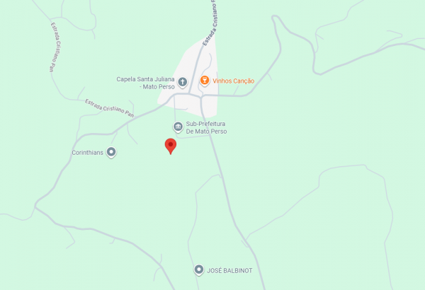 LEILÃO DIREITOS E AÇÕES SOBRE UM TERRENO RURAL, COM ÁREA DE 30.080,00m², SITO NO LUGAR DENOMINADO TRAVESSÃO HORTÊNCIA, NA CIDADE DE FLORES DA CUNHA/RS, localizado em Flores Da Cunha - RS