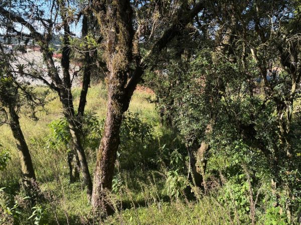TERRENO URBANO COM 7.765,96M², SEM BENFEITORIAS, EM CANELA/RS, localizado em Canela - RS