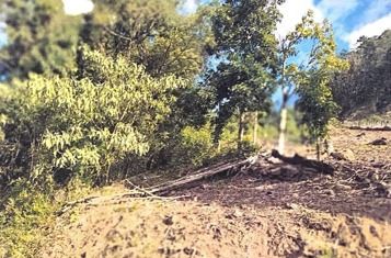 FRAÇÃO DE 25% DE ÁREAS RURAIS DE UM TOTAL DE 50.00M², NA LINHA CAIRÚ, EM BARÃO/RS, localizado em Barão - RS