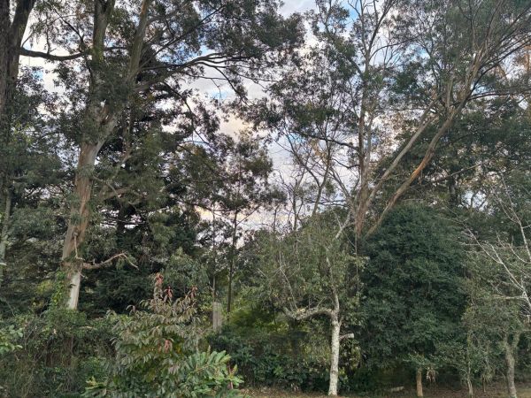 FRAÇÃO IDEAL DE 83,788% (33.159,20M²), SITO AO BAIRRO MONTE BÉRICO, EM CAXIAS DO SUL/RS, localizado em Caxias Do Sul - RS, bairro Monte Bérico