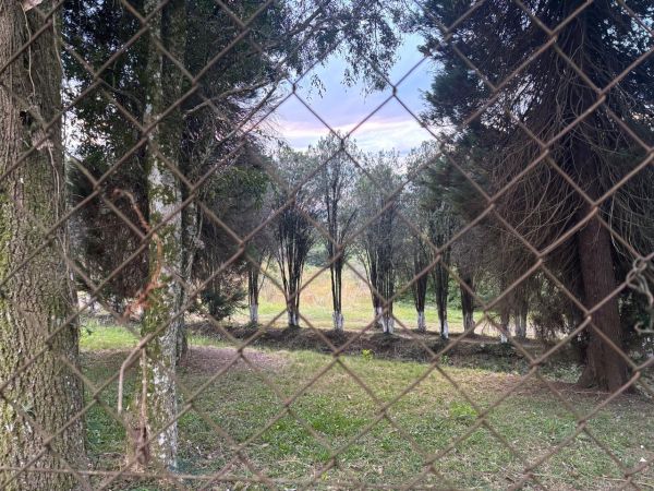 FRAÇÃO IDEAL DE 83,788% (33.159,20M²), SITO AO BAIRRO MONTE BÉRICO, EM CAXIAS DO SUL/RS, localizado em Caxias Do Sul - RS, bairro Monte Bérico