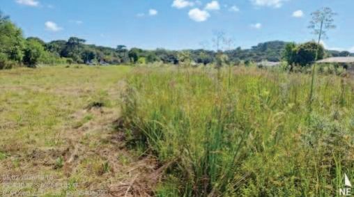 FRAÇÃO IDEAL DE 2.145,31 M² DO COND. ROTA DO SOL, COM ÁREA DE USO PRIVATIVO DE 16.928,00 M², EM SÃO FRANCISCO DE PAULA/RS, localizado em São Francisco De Paula - RS