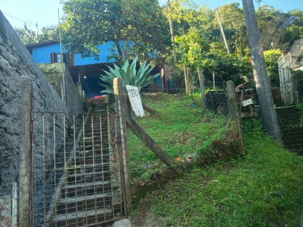 Imagem 3