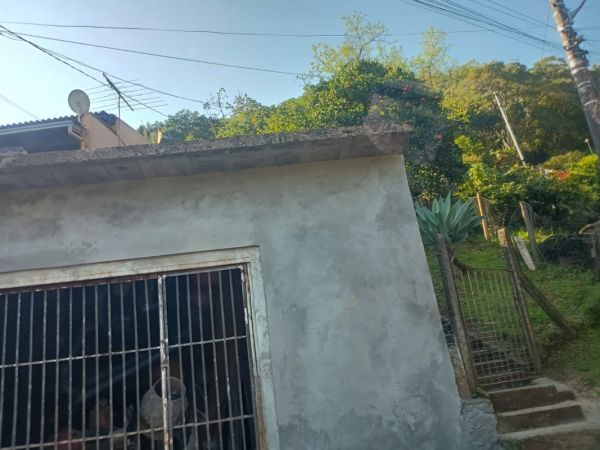 Imagem 5