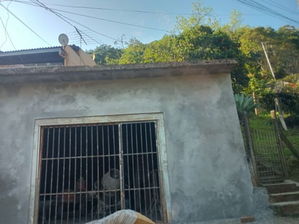 Imagem 6