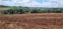 LOTE ÚNICO - FRAÇÃO IDEAL DE 155.000 M² DE ÁREA RURAL COM 295.000 M², NO LUGAR REFUGIADO, 5º DISTRITO DE VACARIA/RS, COM BENFEITORIAS NÃO AVERBADAS.