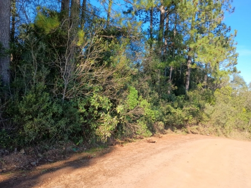 Fração ideal (333,00m²) de um terreno urbano com área total de 1.833m², em muitos capões/rs