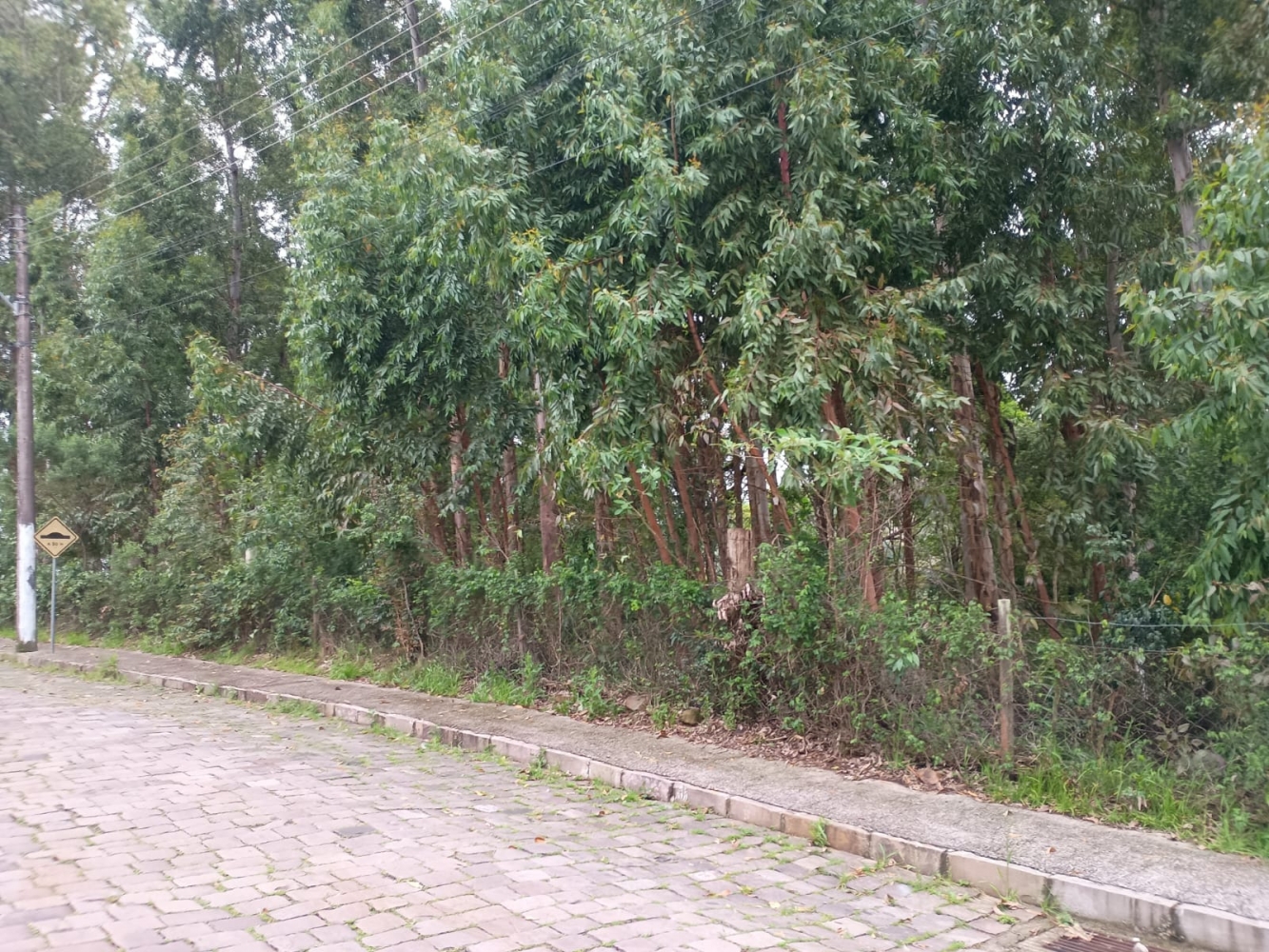Terreno no Caminhos da Eulália (foto 3 de 3)