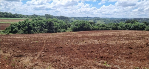 Fração ideal de 155.000 m² de área rural com 295.000 m², no lugar refugiado, 5º distrito de vacaria/rs, com benfeitorias não averbadas.