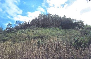 miniatura-5